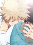 Cover 24706