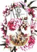 Cover 24714