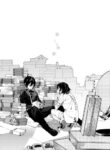 Cover 24866