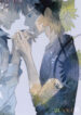 Cover 25020