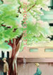 Cover 25044