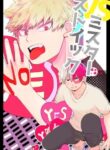 Cover 25210