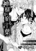 Cover 25300