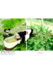 Cover 25849
