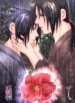 Cover 25853