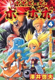 Cover 25957