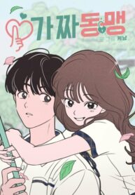 Cover 26135