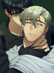Cover 26239