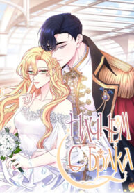 Cover 26257