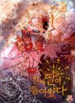 Cover 26528