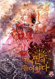 Cover 26528