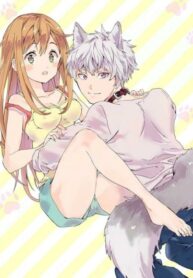 Cover 26712