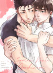 Cover 26822