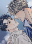 Cover 26978