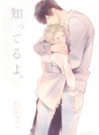 Cover 27068