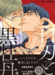 Cover 27078