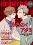Cover 27132