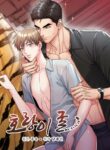 Cover 27354