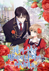 Cover 27406