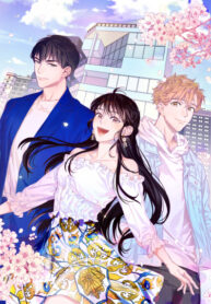 Cover 27428