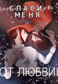 Cover 28431