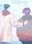 Cover 28558
