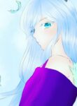 Cover 28880