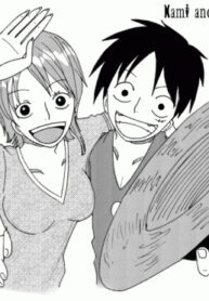 Cover 28884