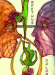 Cover 28915