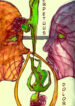 Cover 28915