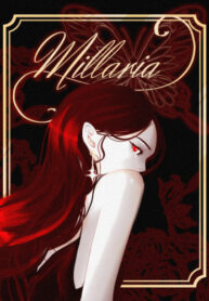 Cover 29036