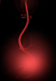 Cover 29056