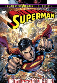 Cover 29250