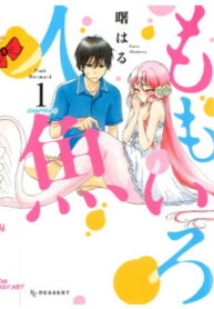 Cover 29384