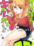 Cover 29417