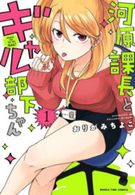 Cover 29417