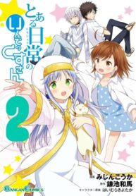 Cover 29466