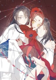 Cover 29507