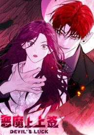Cover 29533