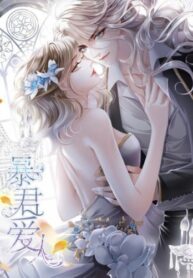 Cover 29693