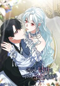 Cover 29781