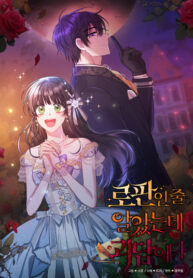 Cover 29825