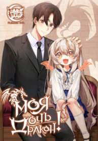 Cover 29987