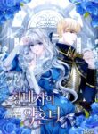 Cover 30294