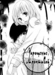Cover 30382