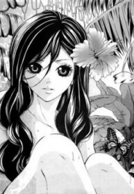 Cover 30445