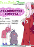 Cover 30491