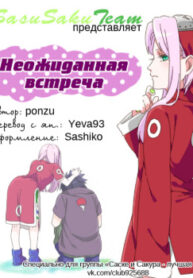 Cover 30491