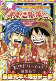 Cover 30498