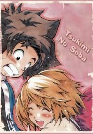 Cover 30540